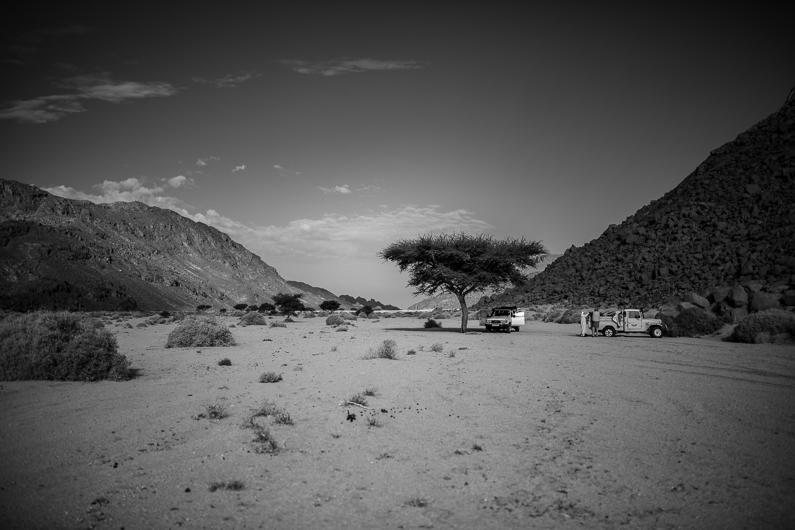 Human & Nature  outoftime 21